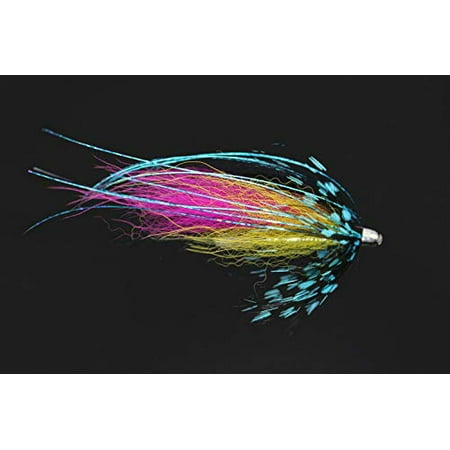12 pcs/lot Assorted Colorful Copper Cone Head Tube Fly Set for Salmon Trout Steelhead Fly Fishing Flies Lures Set