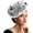 Black White, variant on Fascinators Hat Flower Mesh Feathers Hat with a Headband and a Clip Tea Party Headwear for Women