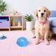 thumbnail image 4 of unbranded De Alimentación Para Perros Con Base No Resbaladiza Y Estimula Enriquecimiento, 4 of 8