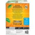 thumbnail image 3 of Twinings  Pure Peppermint Herbal Tea K-Cup - Case Pack of 24, 3 of 9