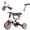 Khika, variant on TR008 5-in-1 Toddler Tricycle with Push Handle, Converts to Balance Bike for 1-3 Year Old, Khaki