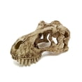 thumbnail image 1 of Figurine de Crâne de Dinosaure de 5,5 Po, 1 of 1
