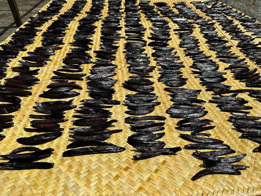 Guatemalan Vanilla Beans Whole Grade A Vanilla Pods for Homemade Vanilla Extract, Baking, Ice Cream, Flavoring, & Vanilla Powder - (50 Pack)