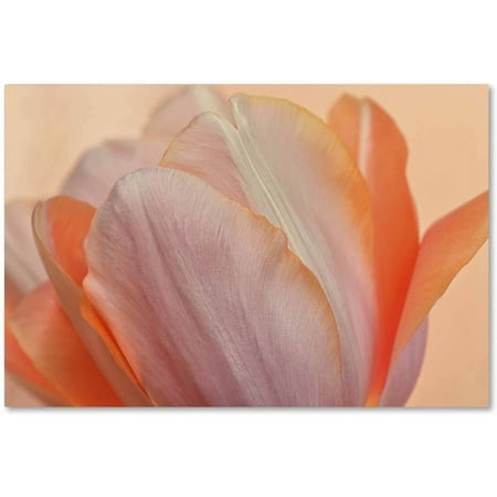 Trademark Fine Art 'Orange Glowing Tulip' Canvas Art by Cora Niele