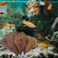 thumbnail image 2 of Hojas de Catappa (Almendro Indio) para Acuario: Reducen el PH y Purifican el Agua para Peceras, Estanques y Acuarios., 2 of 5