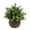 F, variant on Artificial Potted Plants for Tabletop Decoration, Small Fake Flowers in Pots with Hemispherical Bonsai, Indoor Greenery for Home Office Desk Harlik