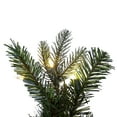 thumbnail image 3 of Vickerman 36" Douglas Fir Artificial Pre-Lit Teardrop with Dura-Lit® Warm White LED Mini Lights., 3 of 7