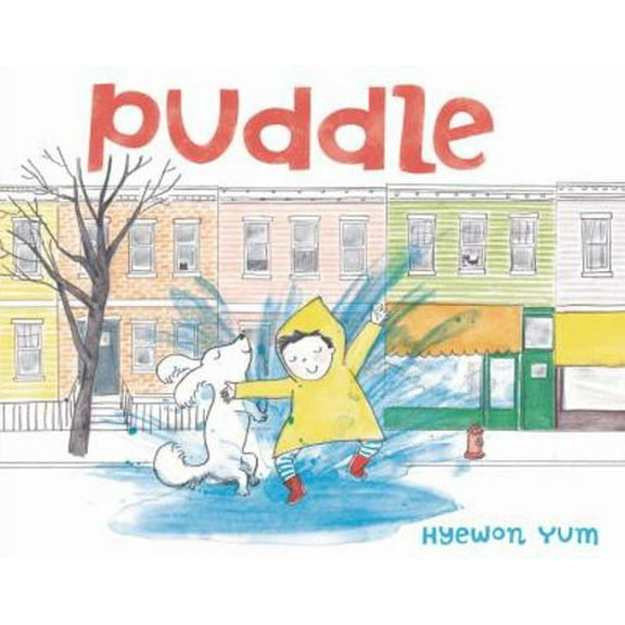 Pre-Owned Puddle (Hardcover) 0374316953 9780374316952