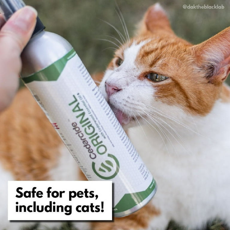 Cedarcide spray for dogs 2025