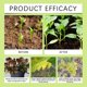 thumbnail image 5 of Nutriente para plantas Yashi Solución nutritiva para crecimiento 100 ml 1 pieza, 5 of 5