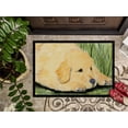 thumbnail image 3 of Carolines Treasures SS8864MAT Golden Retriever Tapis Intérieur Extérieur - 18 x 27 Po., 3 of 4