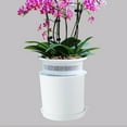 thumbnail image 5 of CreativeArrowy Plastic Planter Pot Orchid Pots with Holes Mesh Net Orchid Planter Flower Pots with Trays, 5 of 11