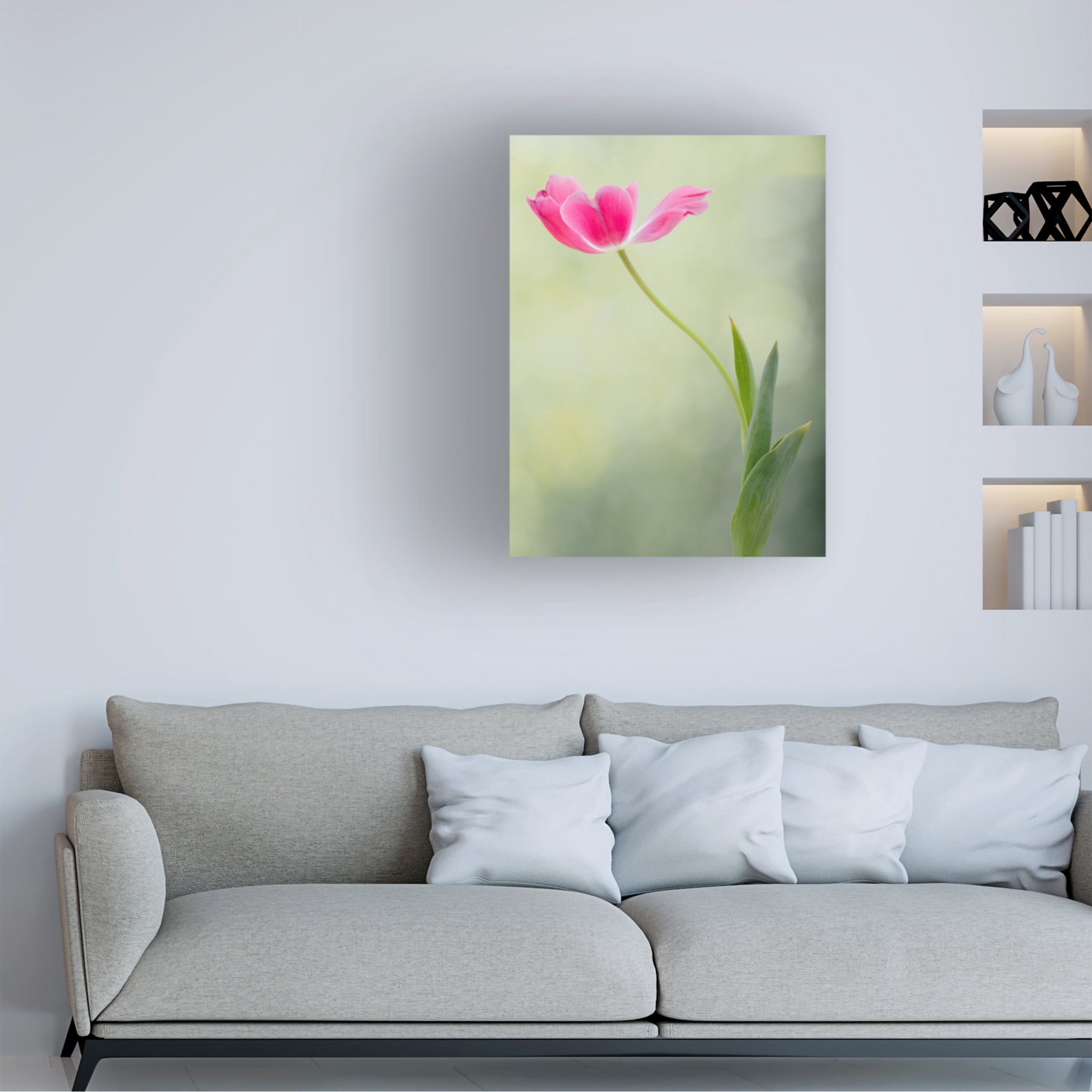 Trademark Fine Art Linda D Lester Spring Tulip Canvas Wall Art