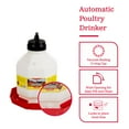 thumbnail image 5 of Little Giant PPF5 5 Gallon Automatic Poultry Waterer for Chickens, Red (4 Pack), 5 of 11