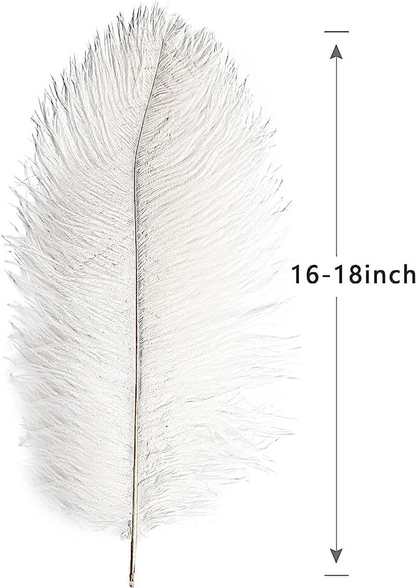 Nvzi 12pcs White Ostrich Feathers Natural Bulk 16-18Inch 40cm-45cm for Wedding Party Centerpieces Easter Gatsby and Home Decorate Ostrich Feathers