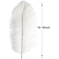 thumbnail image 2 of Nvzi Plumas de avestruz verdes, 12 unidades, grandes, naturales, a granel, 12-14 pulgadas, 30-35 cm, para centros de mesa de bodas, fiestas, Pascuas, Gatsby y decoración del hogar, 2 of 4