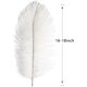 thumbnail image 2 of Nvzi Plumas de avestruz verdes, 12 unidades, grandes, naturales, a granel, 12-14 pulgadas, 30-35 cm, para centros de mesa de bodas, fiestas, Pascuas, Gatsby y decoración del hogar, 2 of 4
