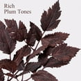 thumbnail image 3 of Fall Decor - Set of 6 18" Artificial Plum Purple Cimicifuga Ramosa Leaves - Farmhouse Foliage Stems for AutumnThanksgiving Harvest Halloween - Fall Clearance Table Centerpieces for Wedding Home Room, 3 of 8