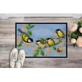 thumbnail image 2 of Great Tit Family of Birds Door Mat, 2 of 4