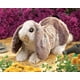 thumbnail image 4 of Títere de Mano Conejo Baby Lop de Peluche Folkmanis 33x23x13 cm, 4 of 4