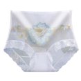 thumbnail image 1 of Gibobby Panty Microfibra con Encaje Ropa interior elástica cintura para mujer, bragas suaves altas, bragas sexis encaje flores para mujer, Bikini bordado, bragas para mujer（Blanco， L), 1 of 5