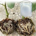 thumbnail image 2 of 3Pcs Plant Root Growing Box Grafting Device High Pressure Propagation Ball Plant Rooting Box, 2 of 5