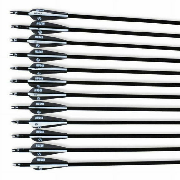 12PCS 30" Fiberglass Arrows SP500 Hunting Archery For Recurve Compound Sporting Bow