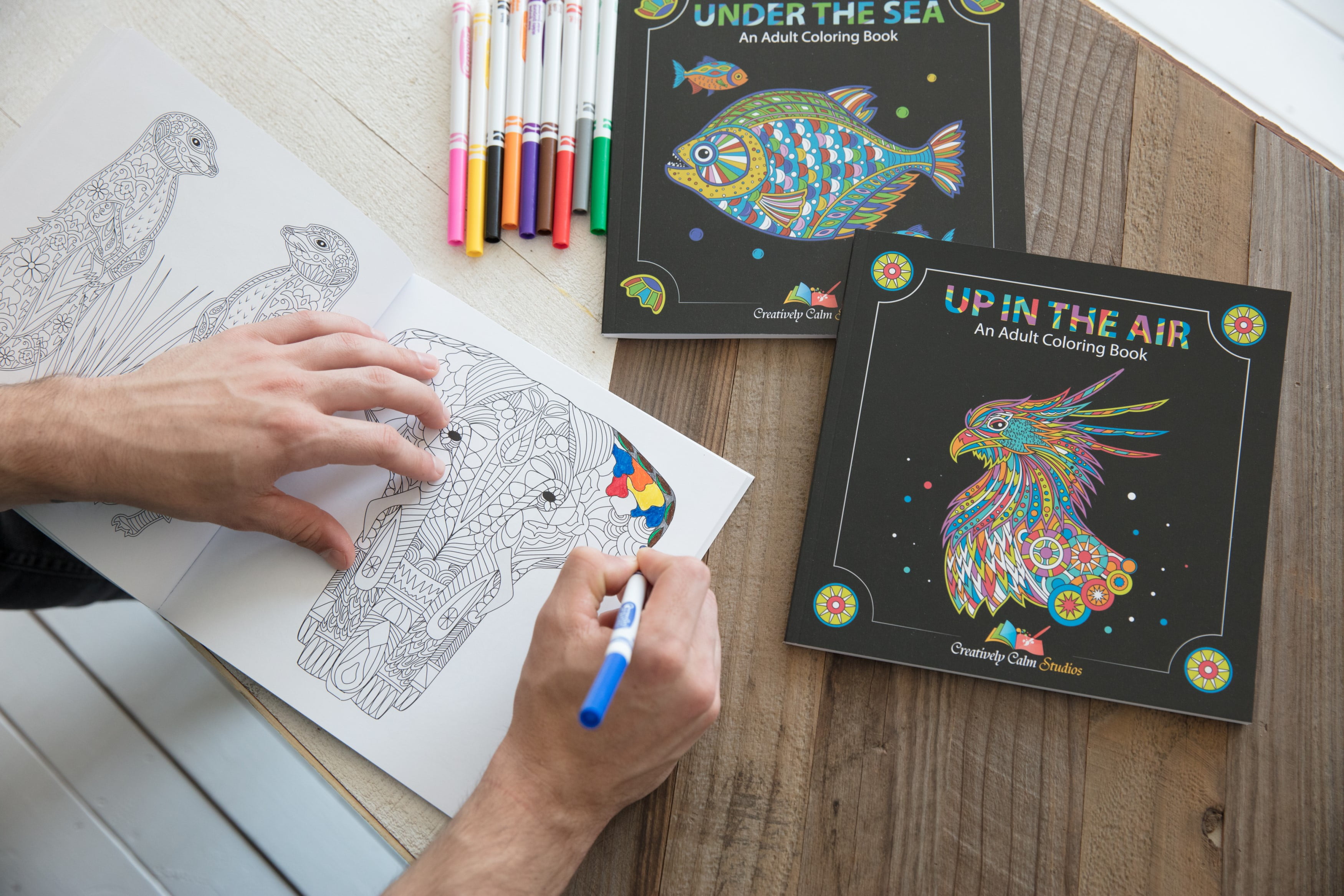 Adult Coloring Books Set.Three Books! Designs from The Sky, Land &amp; Sea. Coloring Books for Adults Relaxation