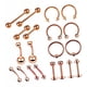 thumbnail image 5 of Kit de joyería para piercing de 20 piezas, aros para nariz, juego de aros para nariz, labio, 1.2x6 + 3mm, 5 of 5