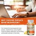 thumbnail image 4 of ZHPHK 500mg Lion's Mane Mushroom for Brain and Nerve Cell Health 60 capsules, 4 of 7