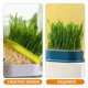 thumbnail image 2 of 4 macetas de hierba gatera para gatos, bandeja para brotes de plantas hidropónicas, maceta de hierba gatera, 2 of 6