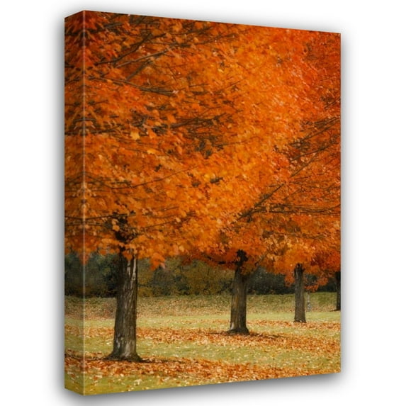 Vitaly Geyman 23x32 Gallery Wrapped Canvas Wall Art Titled - Splash of Color II