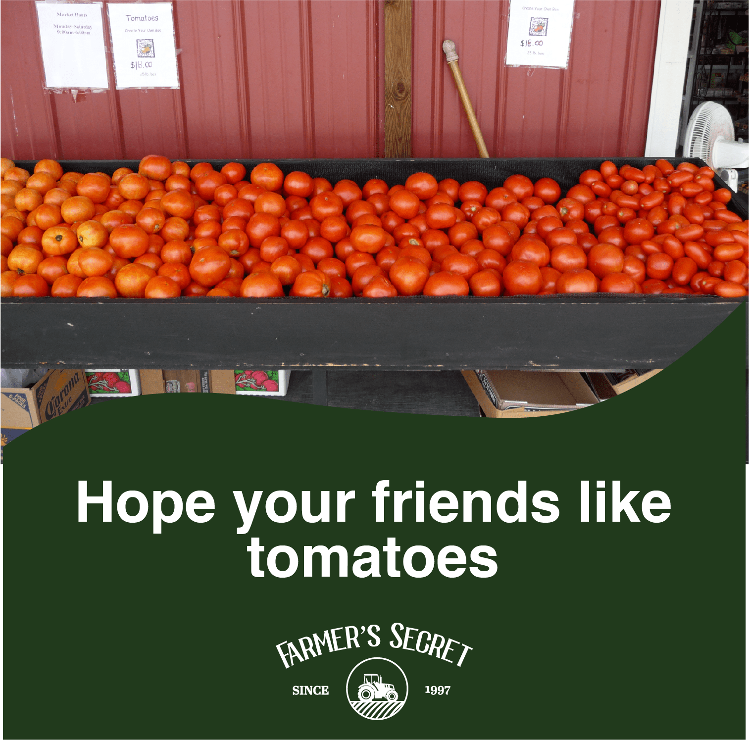 Farmer's Secret Tomato Booster Fertilizer (32oz) - Super Concentrated - 3:8:7 Ratio Fortified with Humic Acid, Iron and Calcium - Grow More Tomatoes
