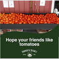 thumbnail image 3 of Farmer's Secret Tomato Booster Fertilizer (32oz) - Super Concentrated - 3:8:7 Ratio Fortified with Humic Acid, Iron and Calcium - Grow More Tomatoes, 3 of 6