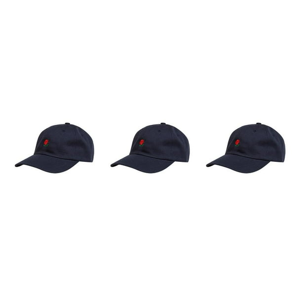 Qarigey Gorra de béisbol con bordado de rosas florales para hombre y mujer, gorra de lona ajustable de algodón con visera Type4 NO4