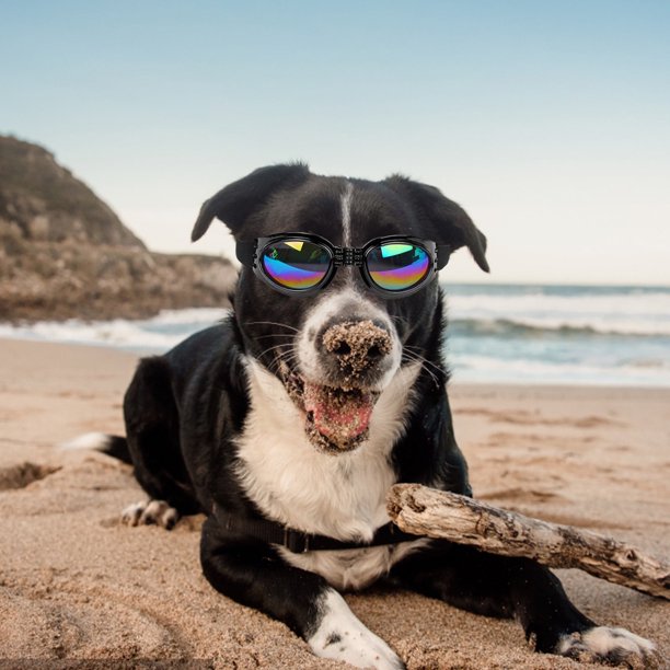 Gafas de sol polarizadas para perros pequeños, resistentes al viento, plegables y ajustables, con banda elástica, ideales para acampar al aire libre, viajes, fotografía, artículos esenciales para