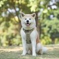 thumbnail image 2 of JFBUJC Dog Harness No Pull for Large Medium Dogs, Adjustable Reflective Harness Lightweight Breathable Pet Vest Harness medium large dog for Walking Training, 2 of 5