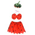 thumbnail image 4 of Conjunto De Ropa De Ganso Hawaiano Con Sombrero Y Falda Para Fiestas En Casa O Al Aire Libre., 4 of 8