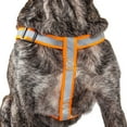 thumbnail image 3 of Pet Life ® 'Easy Tension' Reflective Stitched Adjustable 2-in-1 Pet Dog Leash and Harness, 3 of 7