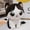 Black, variant on Cute Gray & White Big Eye Cat Plush Toy, Soft Kawaii Kitty Stuffed Animal, Adorable Gift for Kids/Adults