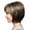 Brown, variant on Short Straight Synthetic Wigs for Women Fashion Natural Female Hairpiece Stylish Comfortable Lightweight