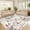 beige, variant on Danolapsi Area Rugs,Flower Print Dining Room Rugs, Non-Shedding Modern Accent Carpet, Foldable Low Pile Indoor Floor Mat, Easy Cleaning, for Living Room, Bedroom, Office