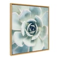 thumbnail image 2 of Kate and Laurel Sylvie Botanical, Succulent 7, Color Photograph, Framed Canvas Square Wall Art by F2 Images, 30x30 Natural, 2 of 5
