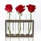 thumbnail image 4 of Florero Hidropónico Florero De De Paisaje Con Florero De De 5 Piezas En Soporte De, 4 of 9