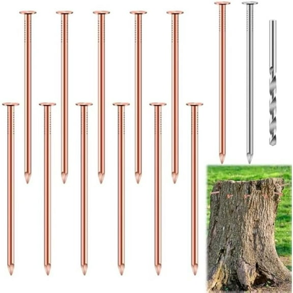 14 Pcs Copper Nails Kit to Killing Trees, includes 12PCS 3.5 Inch Pure Copper Nails Bulk, Stump Removal Spikes Hardware Nails for Trees, Stumps, Landscaping, Hobbies