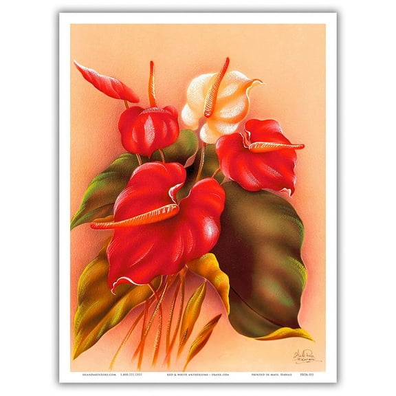 Red and White Anthuriums Flowers - Vintage Hawaiian Airbrush Art by Frank Oda (Hale Pua Studio) c.1940s - Master Art Print (Unframed) 9in x 12in