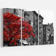 thumbnail image 1 of Designart - Arbre Rouge sur Rue de New York en Noir et Blanc - Paysages Floraux sur Toile Enveloppée, 1 of 1