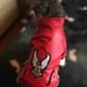 thumbnail image 1 of Glorious Eagle Pattern Dog Coat PU Leather Jacket Soft Waterproof Outdoor Puppy Outerwear Fashion Clothes For Small Pet(XXS-XXL) ShopWise Round, 1 of 7