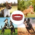 thumbnail image 5 of Collar para perro de cuero con remaches de 2 "de ancho Apuakthei,, 5 of 5