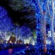 thumbnail image 4 of Guirnalda de Luces Navideñas Twinkle Star para Árbol de Navidad Luces Navideñas y de Halloween 8 Modos de Iluminación 200 LED Azul 66 Pies, 4 of 7
